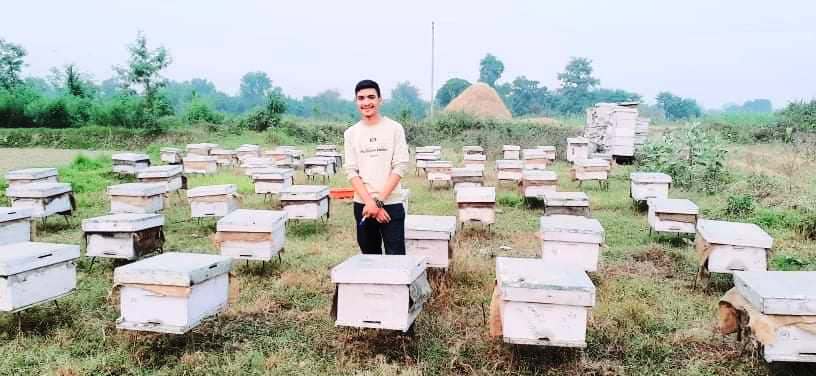 १ हप्ताको मौरी तालिमले मनग्य आम्दानी गर्दै कर्मराज